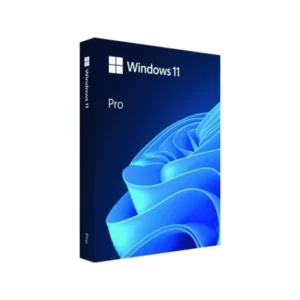 WINDOWS 11 PRO 64BIT PT